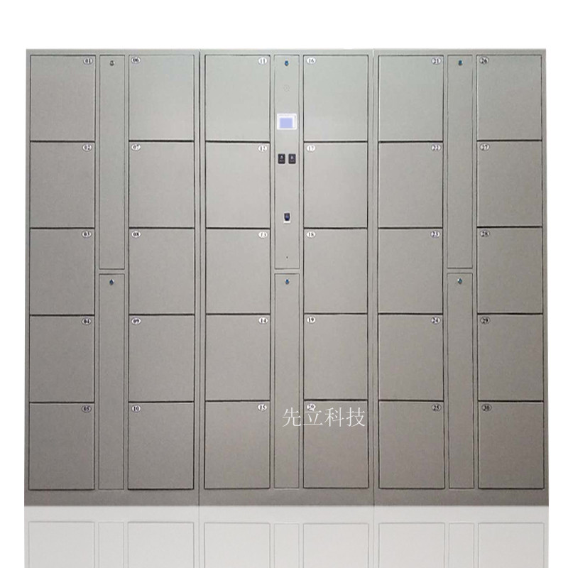 30门灰色指纹柜